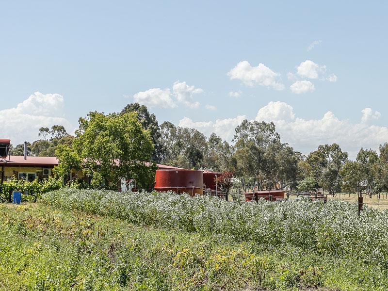 Kellers Bed And Breakfast Perth Exterior foto