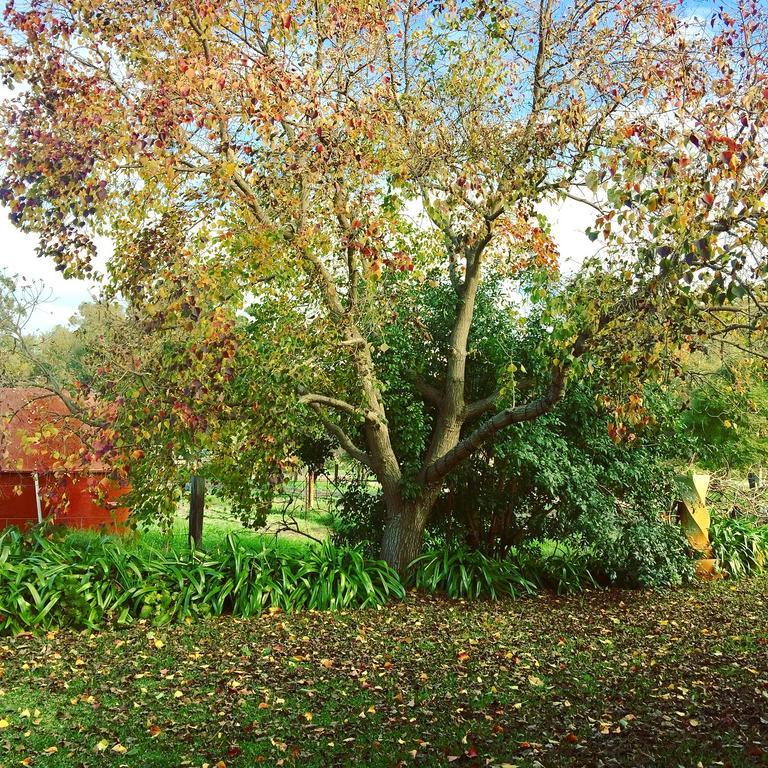 Kellers Bed And Breakfast Perth Exterior foto
